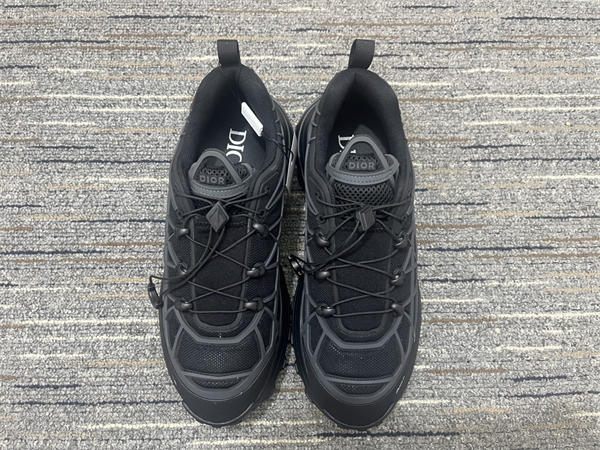 Dior Sneaker