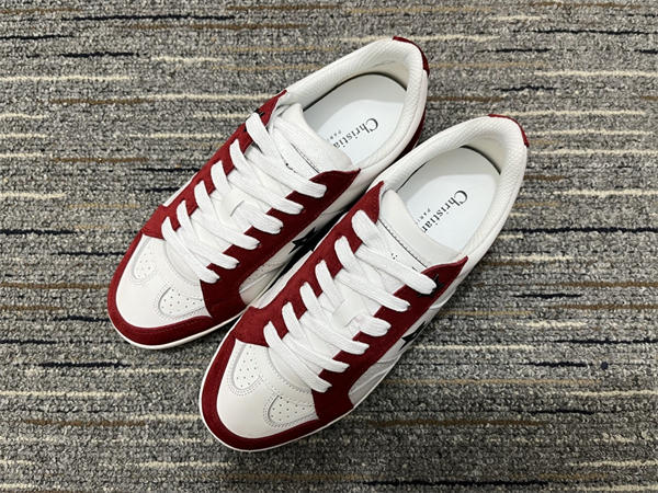 Dior Sneaker