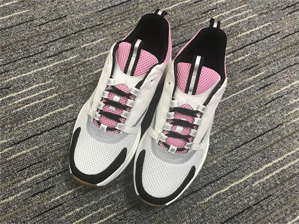 Dior B22