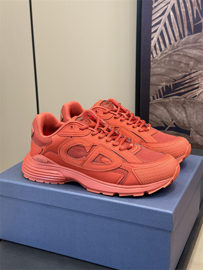 DIOR B30