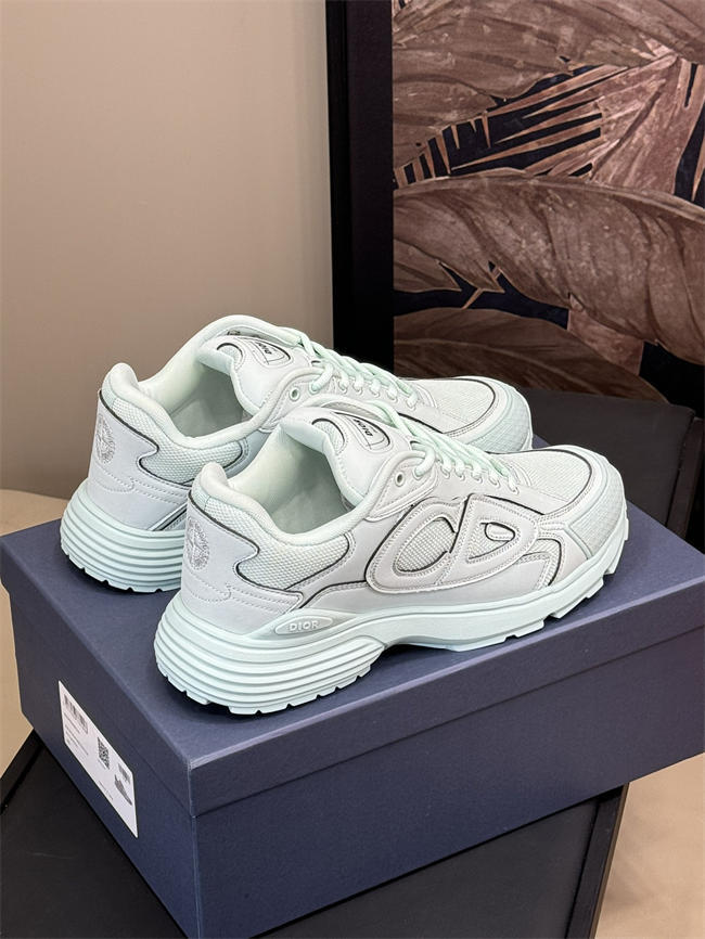 DIOR B30