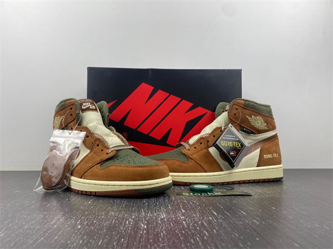 Air Jordan 1 Gore-Tex Jordan 1 High DB2889-100