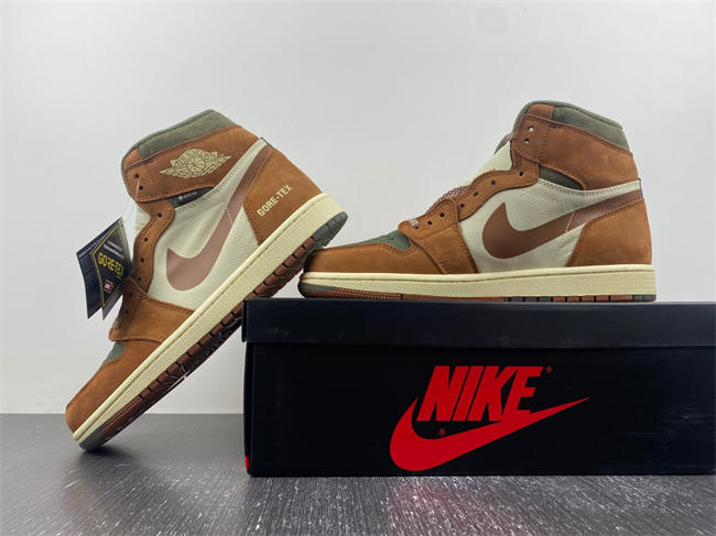 Air Jordan 1 Gore-Tex Jordan 1 High DB2889-100