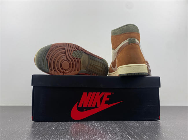 Air Jordan 1 Gore-Tex Jordan 1 High DB2889-100