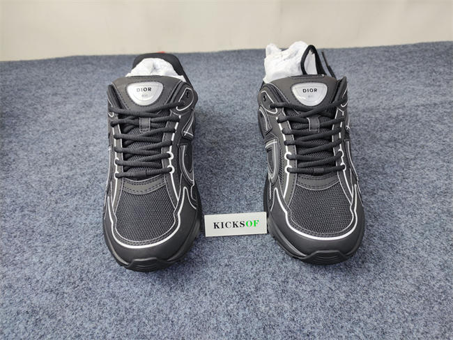 DIOR B30