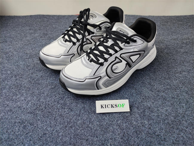 DIOR B30