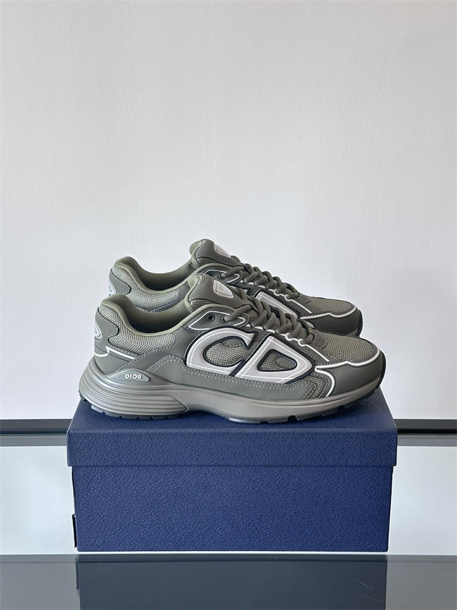 Dior B30 Sneaker D1009