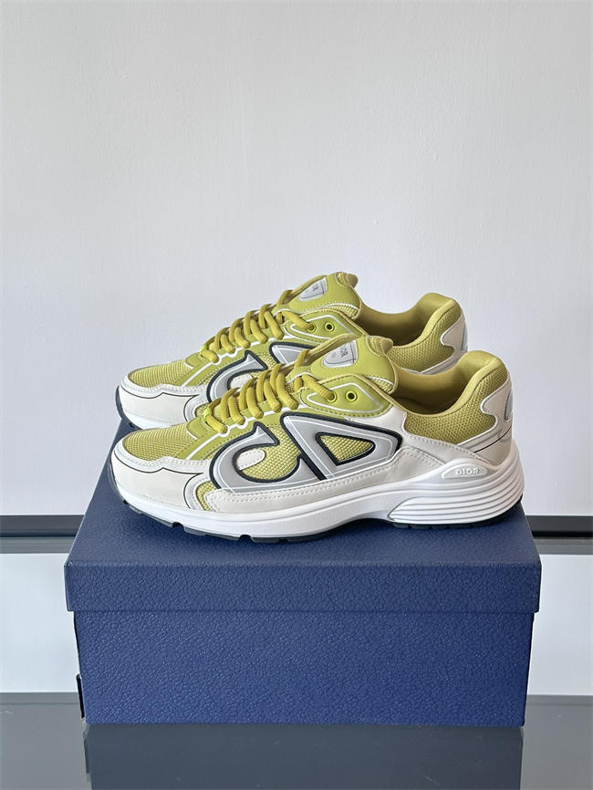 Dior B30 Sneaker D1012
