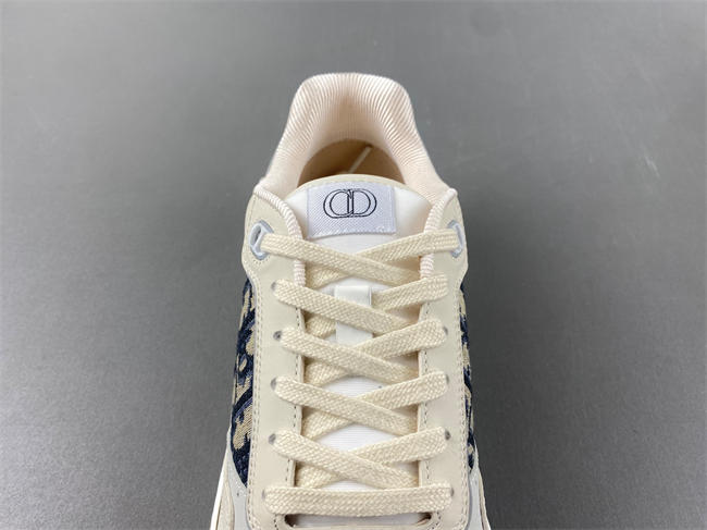 DIOR B27 Low 