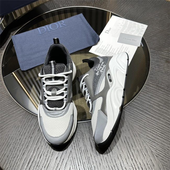 Dior B22