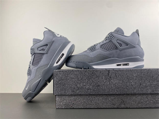 Nigel Sylvester x Air Jordan 4